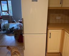 Bosch fridge