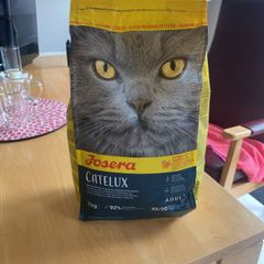 Catelux Josera dry cat food 2kg quality German brand