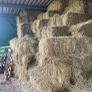 Small square bales  of organic hay .. , Image 2