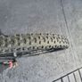 M. Apollo Evade Disc Brake Model Image 8
