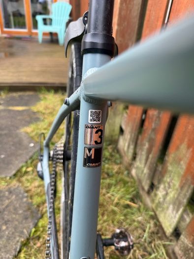 Giant Rapid 3 Hybrid Road Bike  Medium Frame (Carbon Fork)