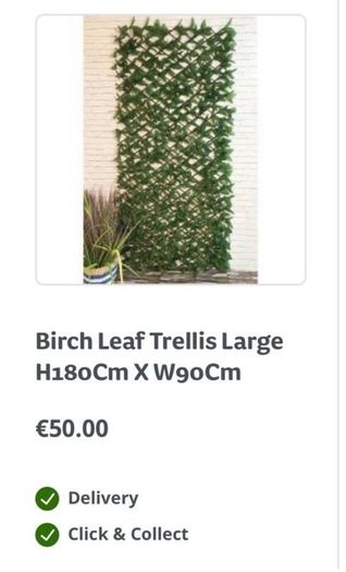 Birch Leaf Trellis Large - Brand new