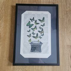 Butterflies picture