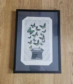 Butterflies picture