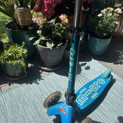 Micro Mini Scooter