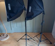 ESDDI Softbox Lighting Kit 85W 5500K with Carry Case & Screens