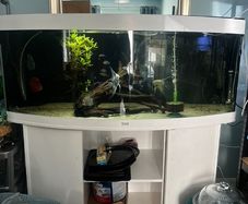 Juwel Vision 450