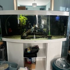 Juwel Vision 450