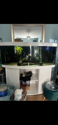 Juwel Vision 450
