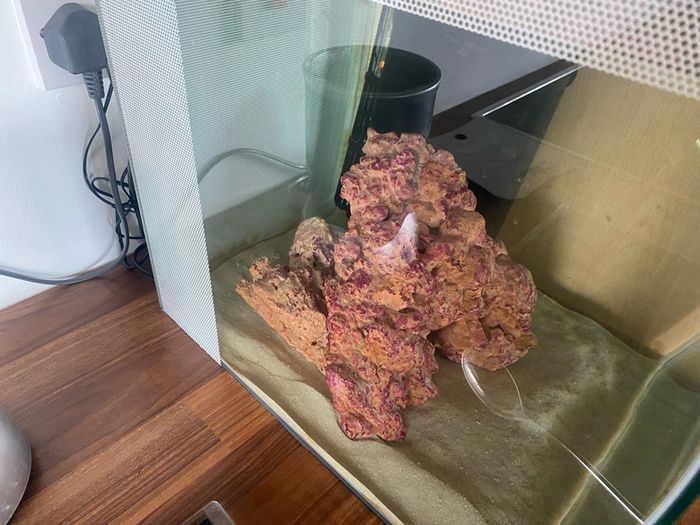 fish tank salt water 60 litre