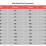 Anita Momentum Sports Bra - Size 40 C Image 3