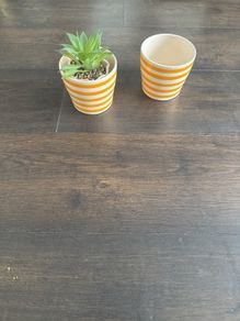 2 bright  matching plant pots