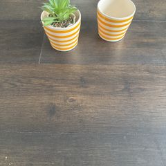 2 bright  matching plant pots