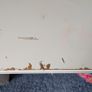 IKEA Smastad Loft Bed Image 4