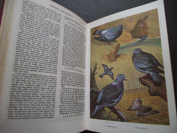 1972 "The Oxford Book of Birds"