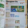 Pokemon HeartGold and SoulSilver Strategy Guide Image 4