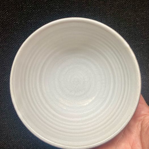Stephen Pearce bowls