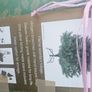Christmas tree   7ft Image 2