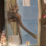 Encyclopaedia of dinosaurs Image 2
