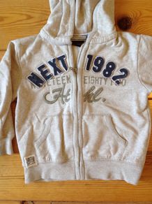 Age 3-4 NEXT Stone Hoodie