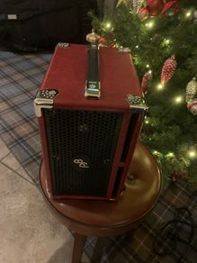Phil Jones BG-110 Bass Cub Combo bass amp