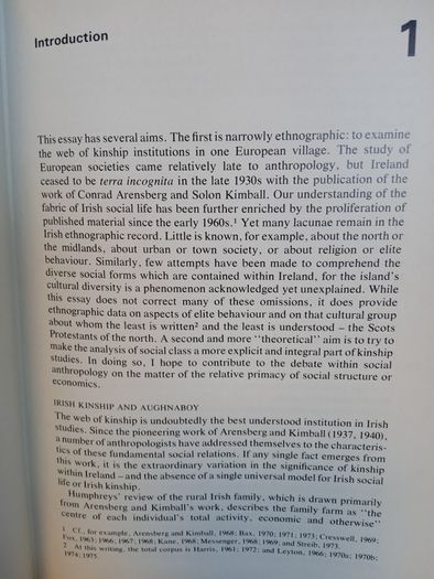 The One Blood; Kinship and Class in an Irish Village by Elliott Leyton (HQ694)