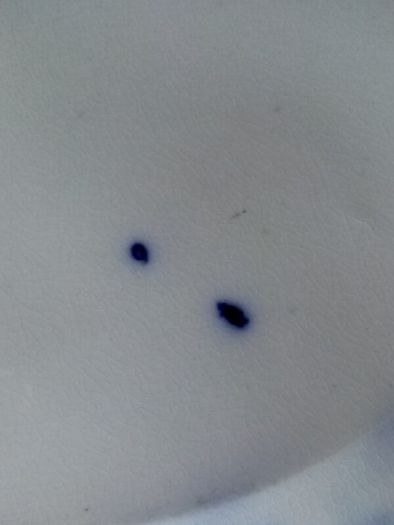 Osborne Flow Blue Plate