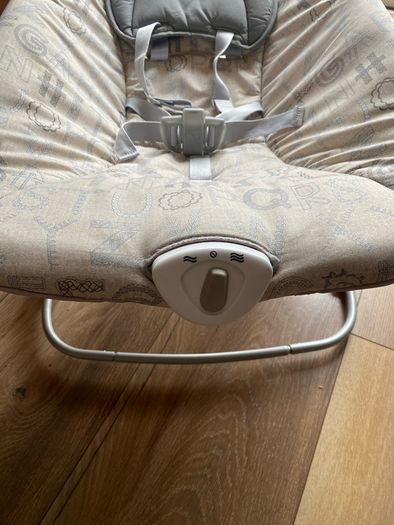 Baby bouncer