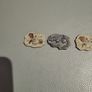 Set of 5 resin fossils Image 2