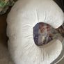 Bobby nursing pillow Image 8