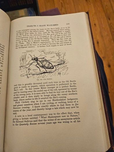 My Life As A Naturalistic. By W. Percival Westell. First Edition 1918 Hardback In Fair Condition.  See Photos For Same.