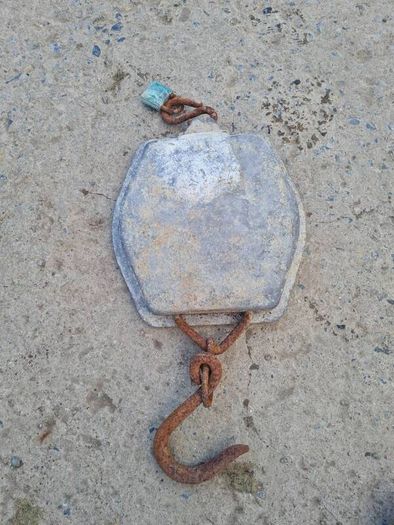 Salter Scales