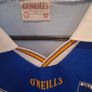 Vintage Wicklow 2003 Gaa Jersey Player Issued Image 3