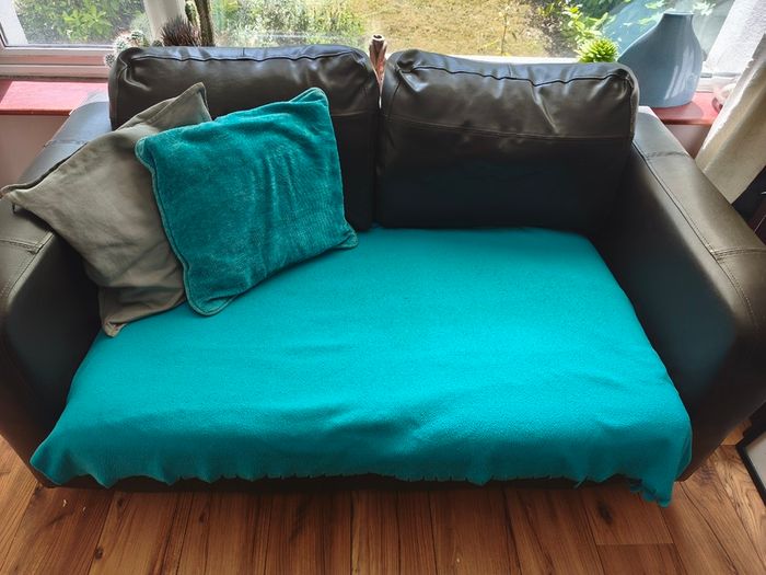 Free sofa