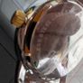 Brand New Telstar Two-Tone Day date Gents Watch Irish Brand Image 6