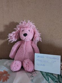 Jellycat Small Pink Bashful Poodle