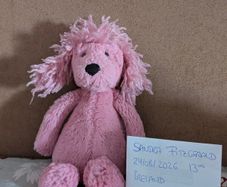 Jellycat Small Pink Bashful Poodle