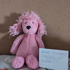 Jellycat Small Pink Bashful Poodle