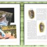 2001 Jersey (Channel Islands) Stamp Year Book (softback) issued by Jersey Post with 16 images of contents Image 10