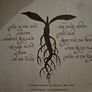 Josh Ritter - The Animals Years. Image 2