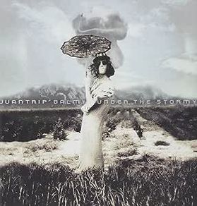 Juantrip. Balmy Under The Stormy. CD. Free Postage!