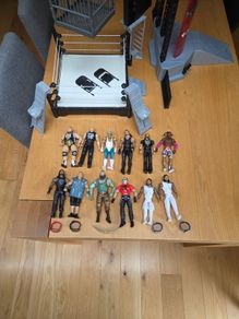 WWE action figures (12) and 2 sets
