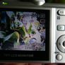 RAVELER DC-6900 6.0 Mega Pixels 3 x super ZOOM DIGITAL CAMERA WORKS (the camera runs on two AA batteries) Image 9