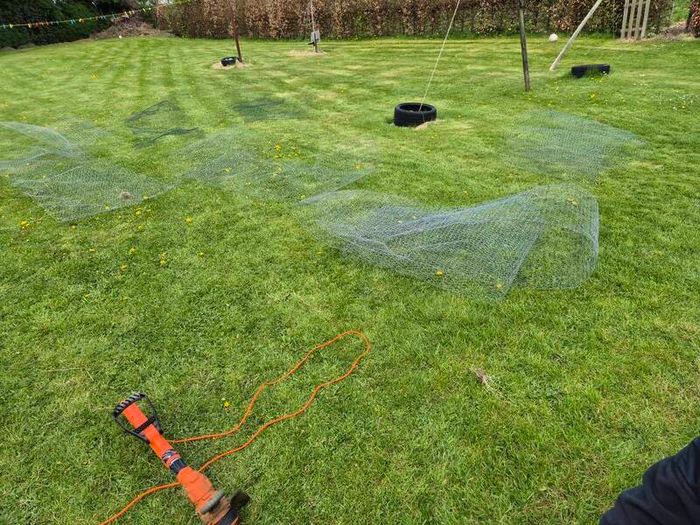 Chicken run,rabbit run