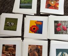 Picture cards