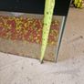 Fish Tank Image 4