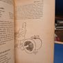 The George Bernard Shaw Vegetarian Cook Book Image 10