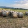 Hay Image 2