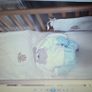 Bouncer and cot Image 2