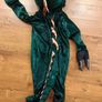 Dinosaur costume, age 3-4 Image 2